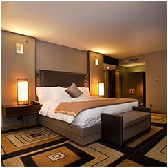 智能酒店：为高档酒店、金领公寓等提供完整的智能酒店方案
